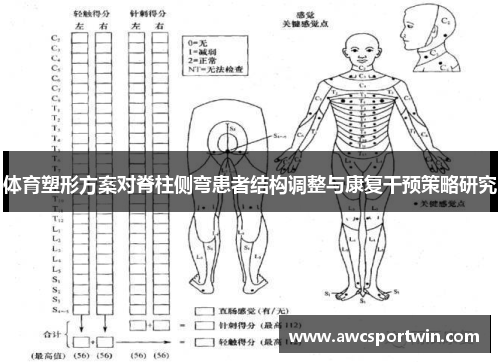 体育塑形方案对脊柱侧弯患者结构调整与康复干预策略研究