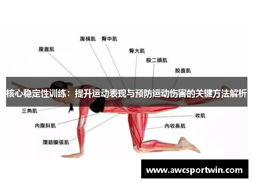 核心稳定性训练：提升运动表现与预防运动伤害的关键方法解析