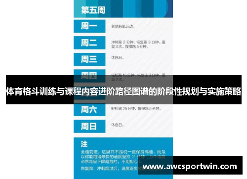 体育格斗训练与课程内容进阶路径图谱的阶段性规划与实施策略