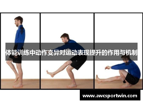 体能训练中动作变异对运动表现提升的作用与机制